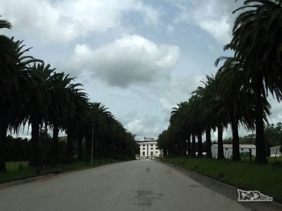 Chegando à fábrica da Patricia, a mais popular cervejaria do uruguai, na região de Minas, no sul do país